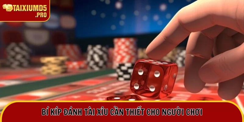 Bí kíp Tài xỉu vô cùng quan trọng và hữu ích