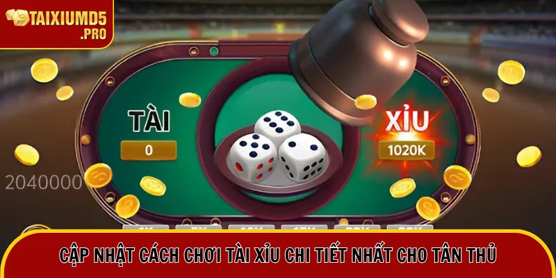 Cập nhật cách chơi tài xỉu chi tiết nhất cho tân thủ