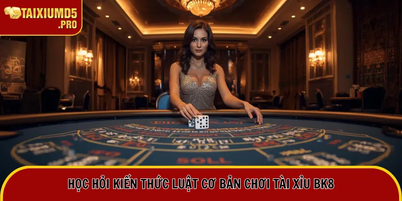 Học hỏi kiến thức luật cơ bản chơi Tài Xỉu BK8